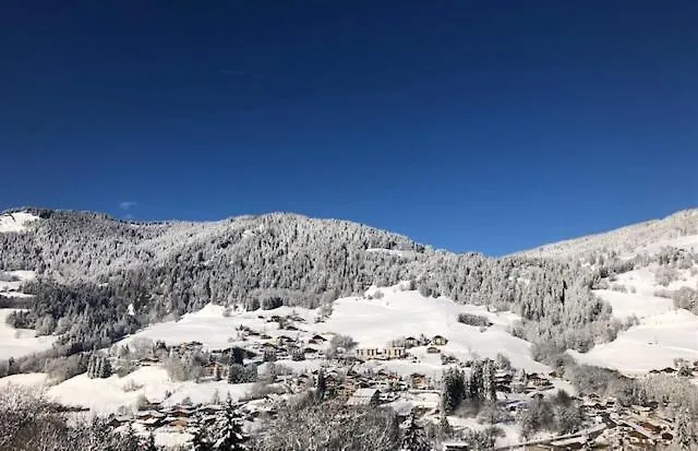 Tres Bel Appartement Avec Spa A Megeve Stallion D 25 Apartment